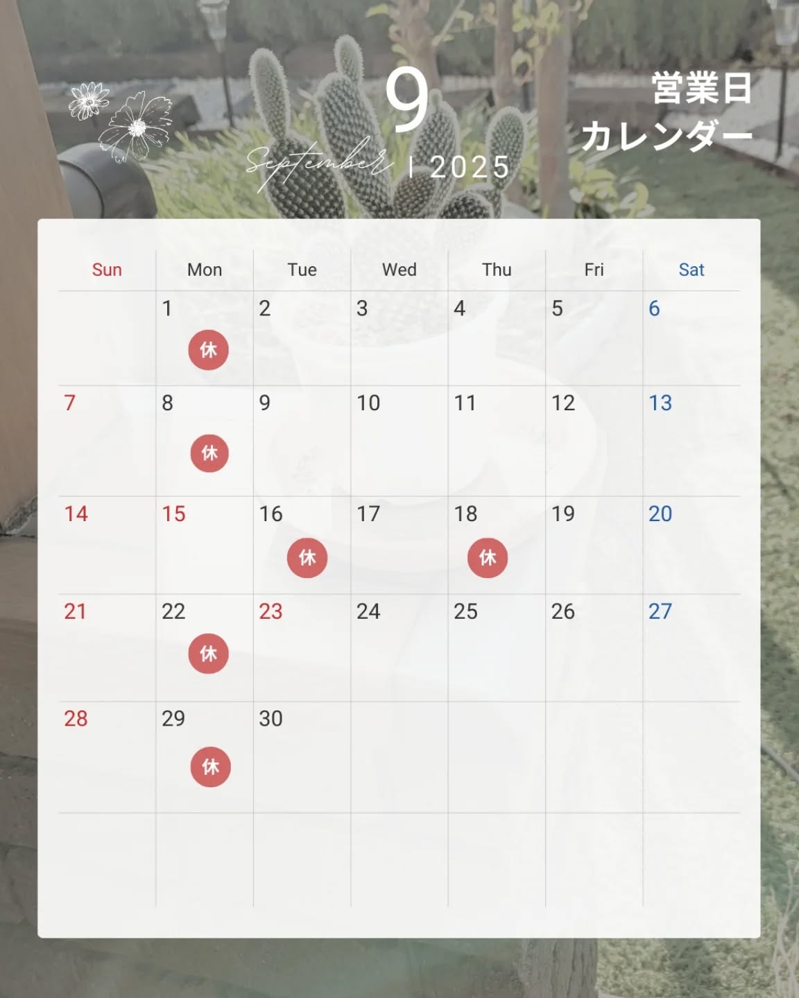 インスタ投稿